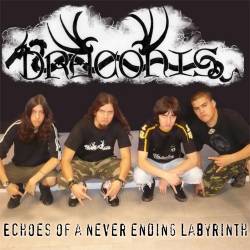Draconis (ARG) : Echoes of a Never Ending Labyrinth
